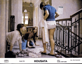 Filmové fotografie - Fotoska - Housata