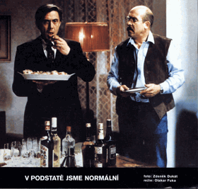 Filmové fotografie - V podstatě jsme normální