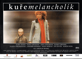 Fotoska - Kuře melancholik