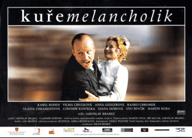 Fotoska - Kuře melancholik