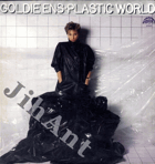 LP - Goldie Ens - Plastic World