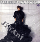 LP - Goldie Ens - Plastic World