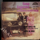 SP - Hana Zagorová - To by nebylo fér, Auťák na lásku