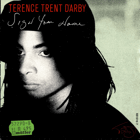 SP - Terency Trent D´Arby - Sing Your Name, Greasy Chicken