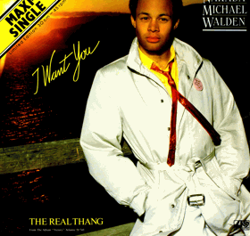 LP -  Narada Michael Walden – I Want You - Maxi-Single