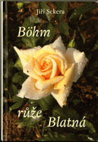 Böhm růže Blatná