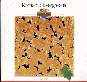 LP - Unknown Artist ‎– Romantic Evergreens