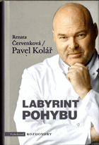 Labyrint pohybu