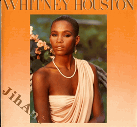 LP - POUZE OBAL ! - Whitney Houston - POUZE OBAL !