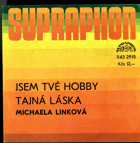 SP - Michaela Linková - jsem tvé hobby, Tajná láska