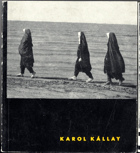 Karol Kállay
