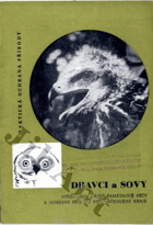Dravci a sovy