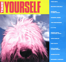 LP - Various – Tame Yourself