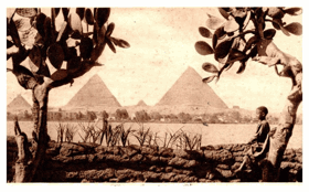 Cairo - Egypt - Káhira (pohled)