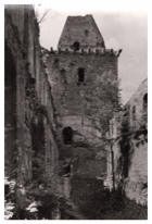 Šumava - hrad Kašperk (pohled)