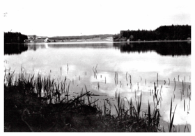 Kunžak - rybník Komorník (pohled)
