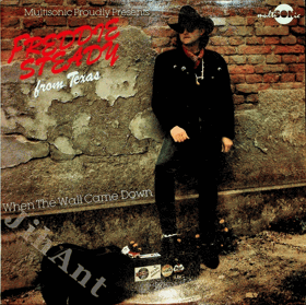 LP -  Freddie Steady ‎– When The Wall Came Down