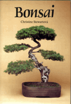 Bonsai