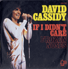 SP - David Cassidy - If I Didn´T Care