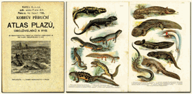 Kobrův příruční atlas plazů, obojživelníků a ryb - litografie