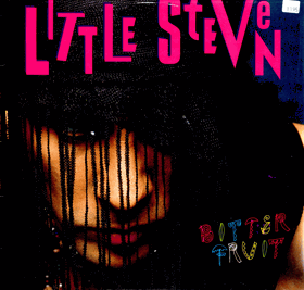 LP - Little Steven - Bitter Fruit  - Pouze obal !!!!!