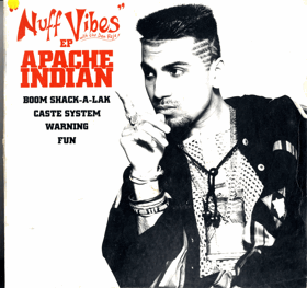 LP - Nuff Vibes - Ep Apache Indian  - Pouze obal !!!!!