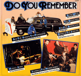 2 LP - Various – Do You Remember