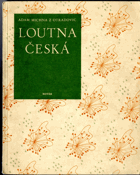 Obálka