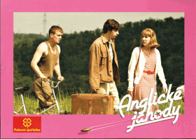 Fotoska - Anglické jahody