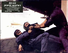Fotoska - Život jedné kočky