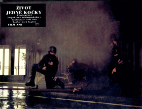 Fotoska - Život jedné kočky