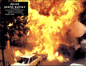 Fotoska - Život jedné kočky
