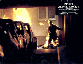 Fotoska - Život jedné kočky