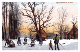 Spreewald im Winter (pohled)