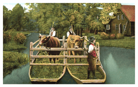 Der romantische Spreewald - Viehtransport (pohled)