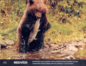 Fotoska - Medvědi