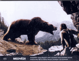 Fotoska - Medvědi