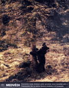 Fotoska - Medvědi