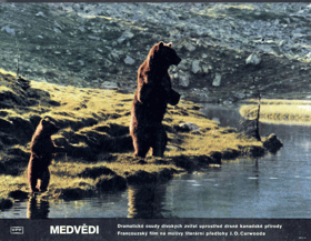 Fotoska - Medvědi