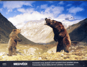 Fotoska - Medvědi