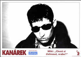 Fotoska - Kanárek