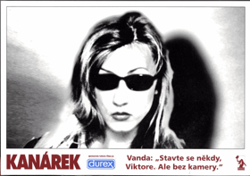 Fotoska - Kanárek