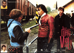Fotoska - Divoké včely