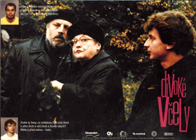 Fotoska - Divoké včely