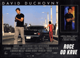 Fotoska - Ruce od krve - David Duchovny