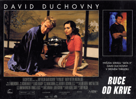 Fotoska - Ruce od krve - David Duchovny