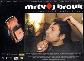 Fotoska - Mrtvej brouk
