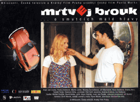 Fotoska - Mrtvej brouk
