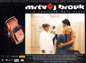 Fotoska - Mrtvej brouk