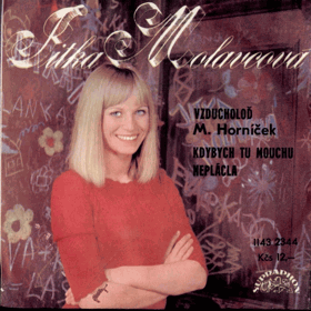 SP - Jitka Molavcová - Vzducholoď, Kdybych tu mouchu neplácla